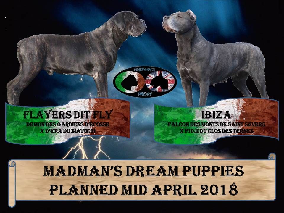 Madman's Dream - Portée prévue mi avril